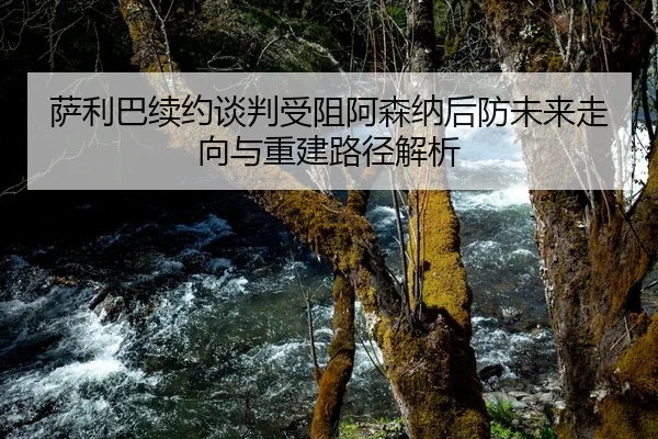 萨利巴续约谈判受阻阿森纳后防未来走向与重建路径解析